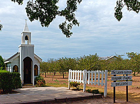 dự đoán xo so